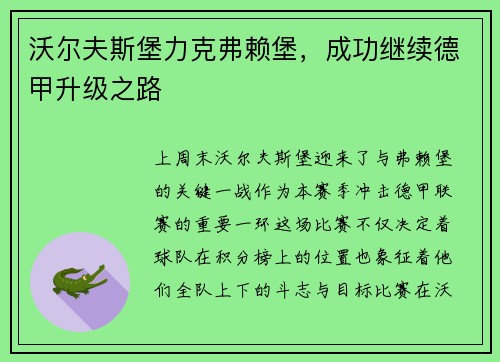 沃尔夫斯堡力克弗赖堡，成功继续德甲升级之路